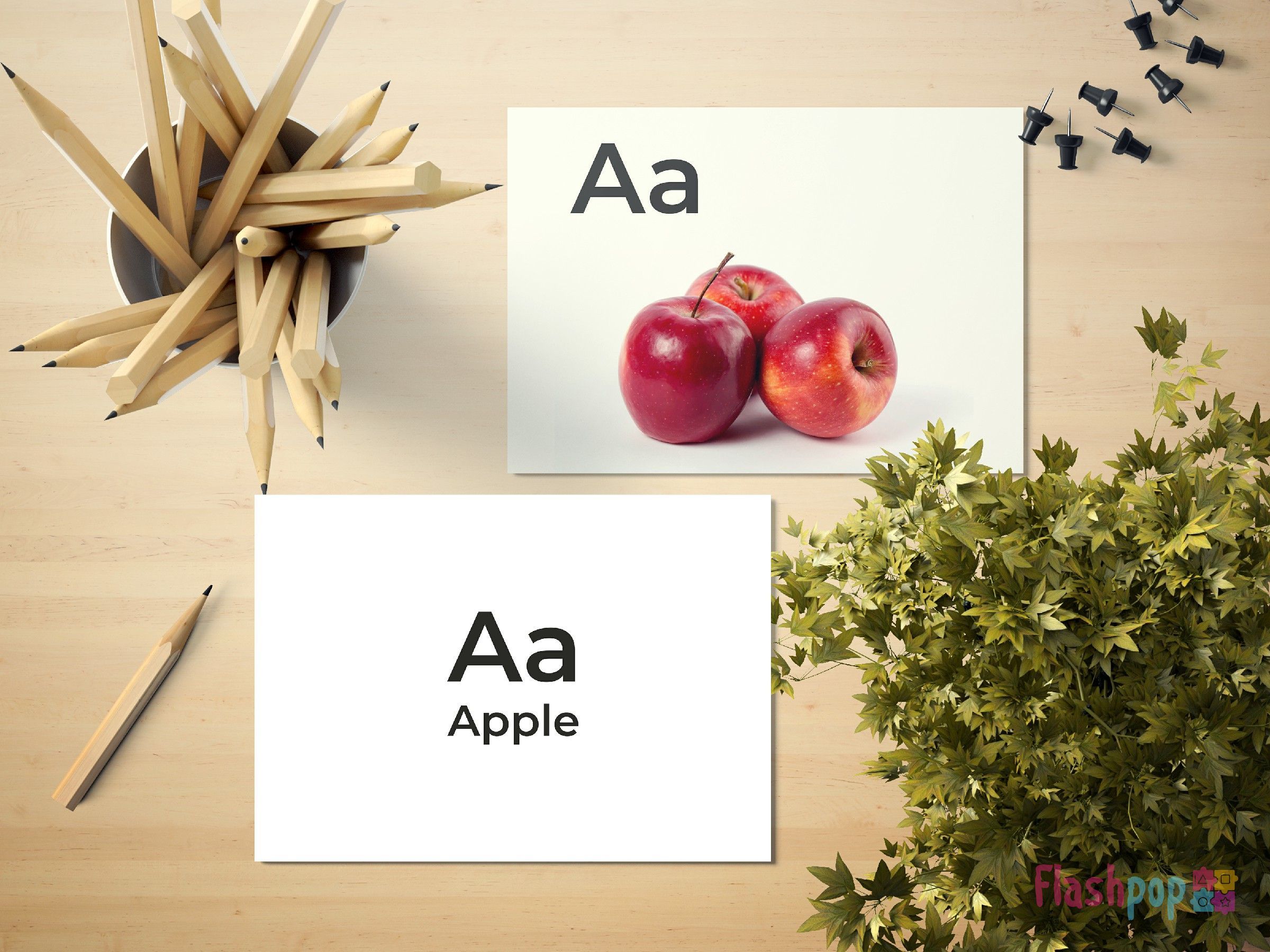 Alphabets Flashcards — Flashpop