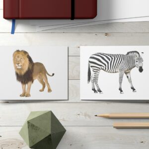 Flashpop - Animals Flashcards